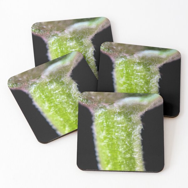 Item preview, Plant Trichomes in Macro designed and sold by Photo-By-Nate.