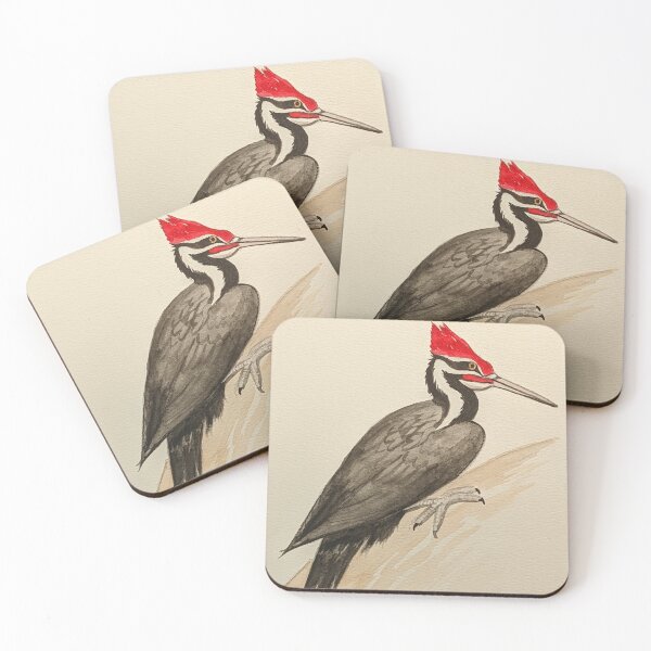 Item preview, Pileated woodpecker study  designed and sold by Matt Starr Fine Art .