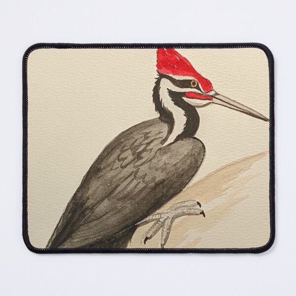Item preview, Pileated woodpecker study designed and sold by Matt Starr Fine Art .
