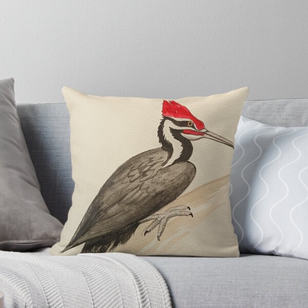 Item preview, Pileated woodpecker study  designed and sold by Matt Starr Fine Art .