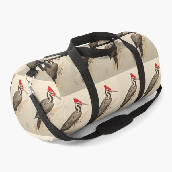 Item preview, Pileated woodpecker study  designed and sold by Matt Starr Fine Art .