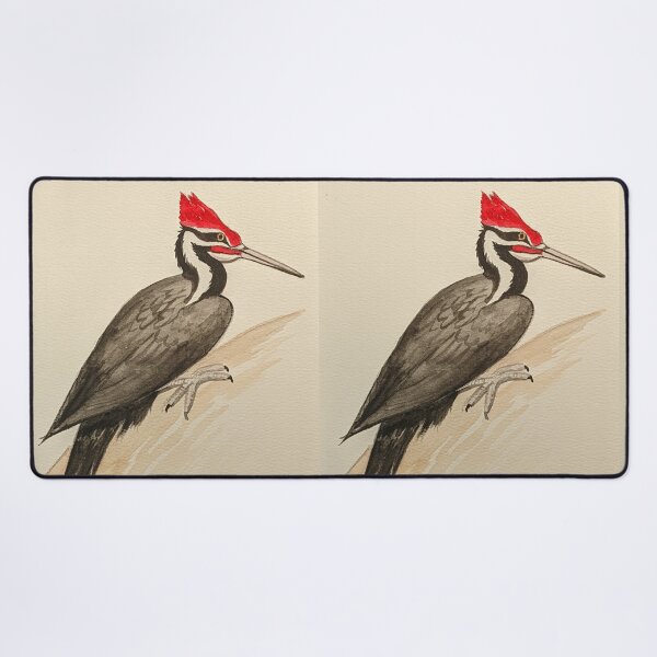 Item preview, Pileated woodpecker study  designed and sold by Matt Starr Fine Art .