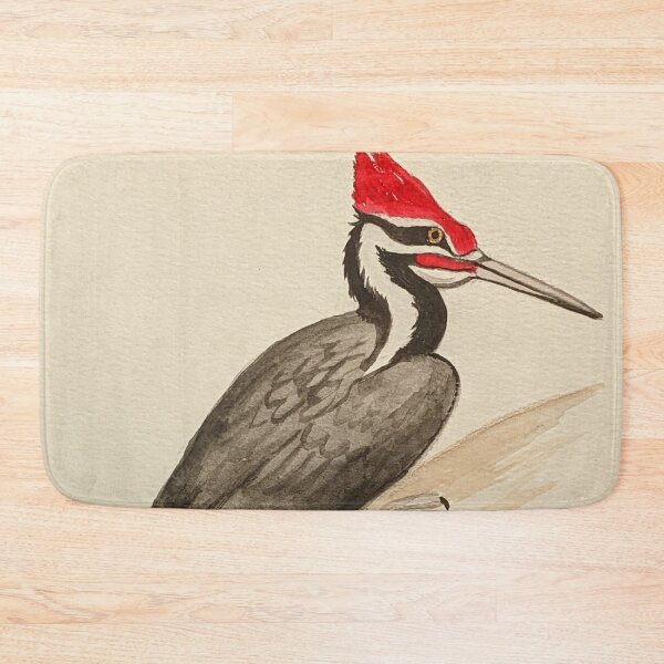 Item preview, Pileated woodpecker study  designed and sold by Matt Starr Fine Art .