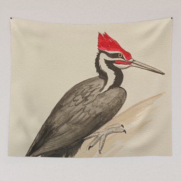 Item preview, Pileated woodpecker study  designed and sold by Matt Starr Fine Art .