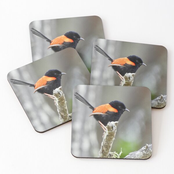 Item preview, Red backed Fairy Wren up high  designed and sold by Mark Grimsley.