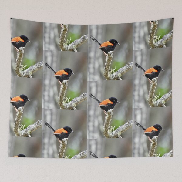 Item preview, Red backed Fairy Wren up high  designed and sold by Mark Grimsley.