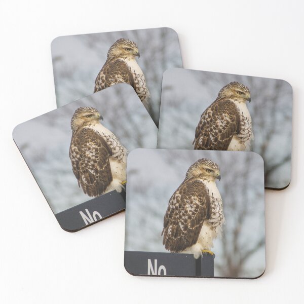 Item preview, Hawk Eye designed and sold by ShannonBPhotog.