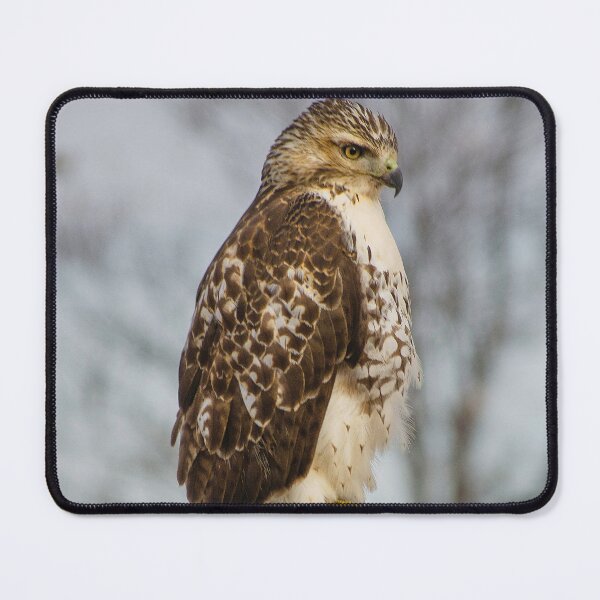 Item preview, Hawk Eye designed and sold by ShannonBPhotog.