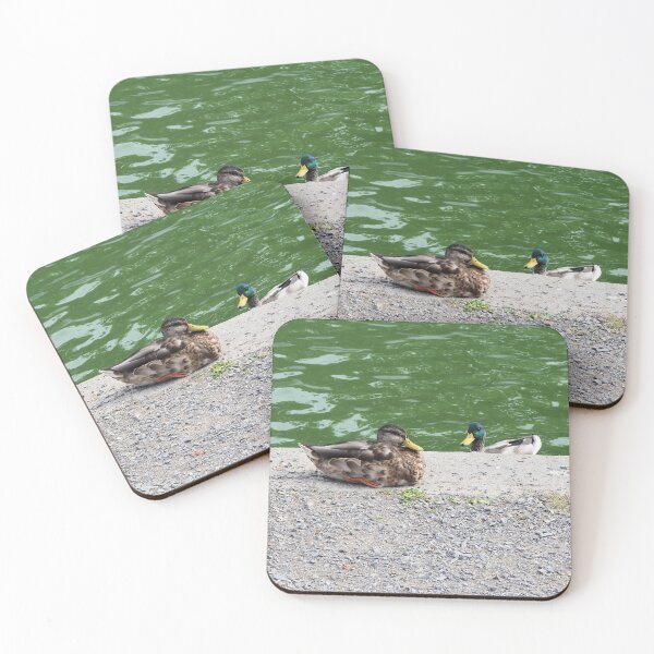 Artikelvorschau, Neugierige Enten an einem Teich entworfen und verkauft von BackyardBirder.
