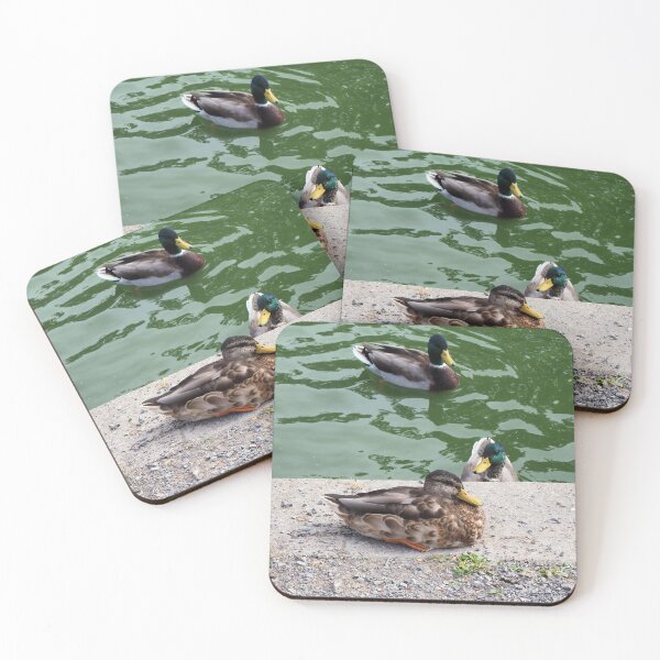 Item preview, Mallard Ducks Coming To The Edge of The Pond designed and sold by BackyardBirder.