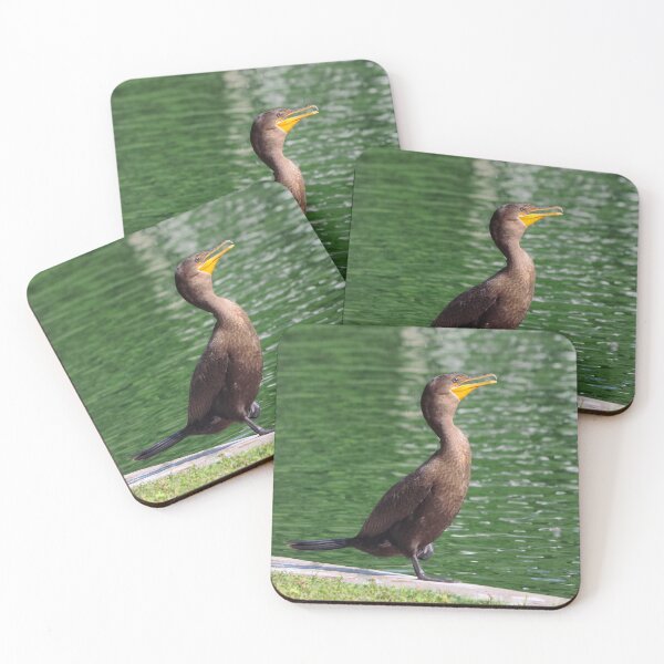 Item preview, Double-crested Cormorant By a Pond designed and sold by BackyardBirder.