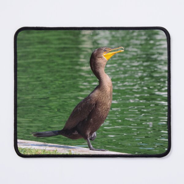 Item preview, Double-crested Cormorant By a Pond designed and sold by BackyardBirder.