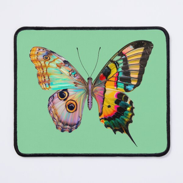 Item preview, Wannabe Bilateral Gynandromorph Butterfly designed and sold by dinaaaaaah.