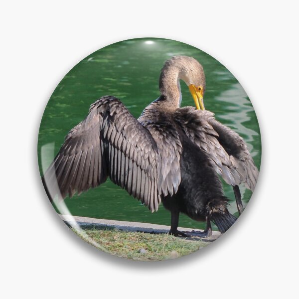 Item preview, Double-crested Cormorant Preening Its Feathers designed and sold by BackyardBirder.
