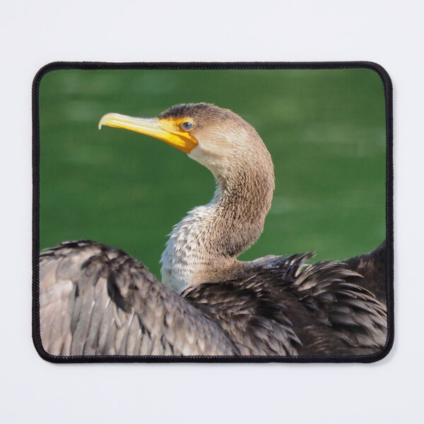Item preview, Double-crested Cormorant Up Close With Its Wings Spread designed and sold by BackyardBirder.