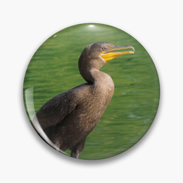Item preview, Double-crested Cormorant Standing Next To a Pond designed and sold by BackyardBirder.