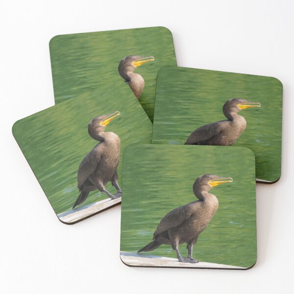 Item preview, Double-crested Cormorant Standing Next To a Pond designed and sold by BackyardBirder.