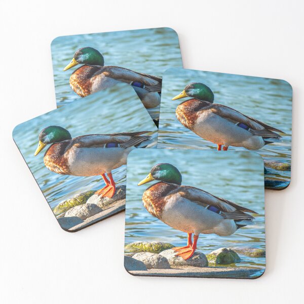 Item preview, Stillness on the Shore (Mallard) designed and sold by TheHikersEye.