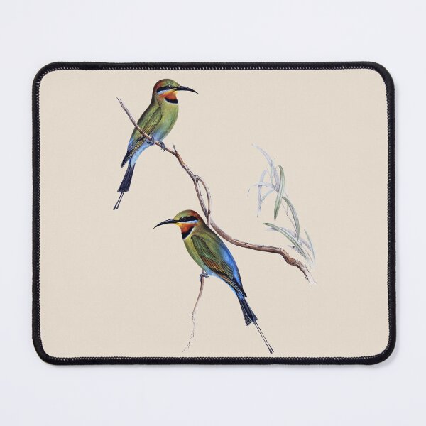 Item preview, Rainbow Bee-eater (Merops ornatus) - Vintage Bird Illustration by John Gould (1840s) designed and sold by karwilberevivalcollection.
