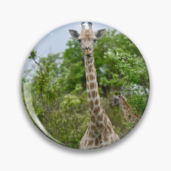 Item preview, Giraffe poking tongue out designed and sold by ChristinaSnaps.