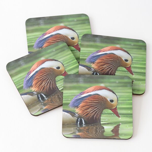 Item preview, Mandarin Duck Breeding Plumage Close-Up – Feather Detail and Colors designed and sold by DreamLand-Media.
