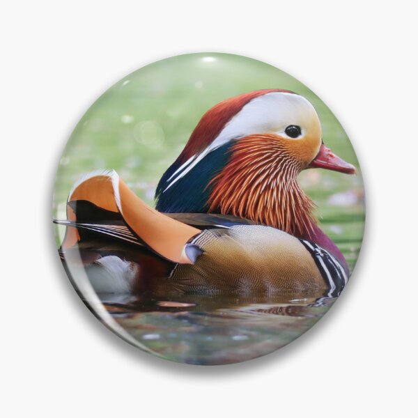 Item preview, Mandarin Duck Gliding Gracefully on Shimmering Emerald Pond designed and sold by DreamLand-Media.