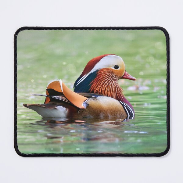 Item preview, Mandarin Duck Gliding Gracefully on Shimmering Emerald Pond designed and sold by DreamLand-Media.