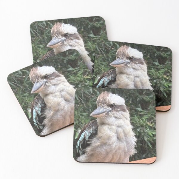 Item preview, Fluffy Juvenile Kookaburra designed and sold by smh2.