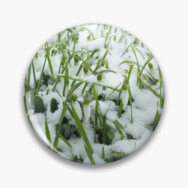 Item preview, Lovely Snowdrops in Fresh Snow designed and sold by Georgia Mizuleva.