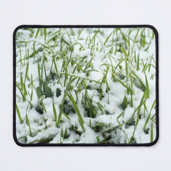 Item preview, Lovely Snowdrops in Fresh Snow designed and sold by Georgia Mizuleva.