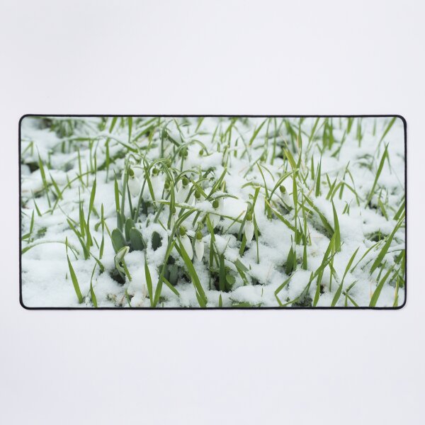 Item preview, Lovely Snowdrops in Fresh Snow designed and sold by Georgia Mizuleva.