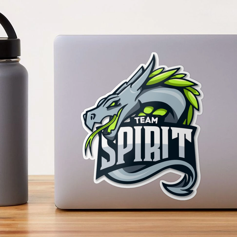 How a Sports Team Logo Creates Team Spirit • Online Logo Maker's Blog