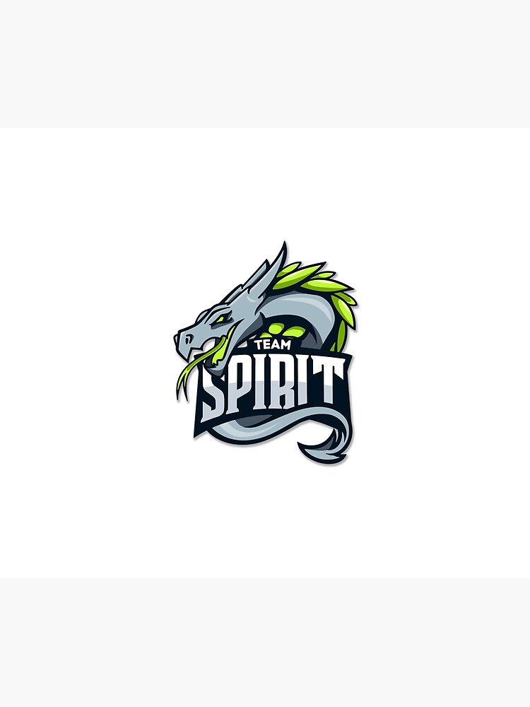 Team Spirit Academy CS2 (TS.A) Team Overview and Viewers Statistics |  Esports Charts