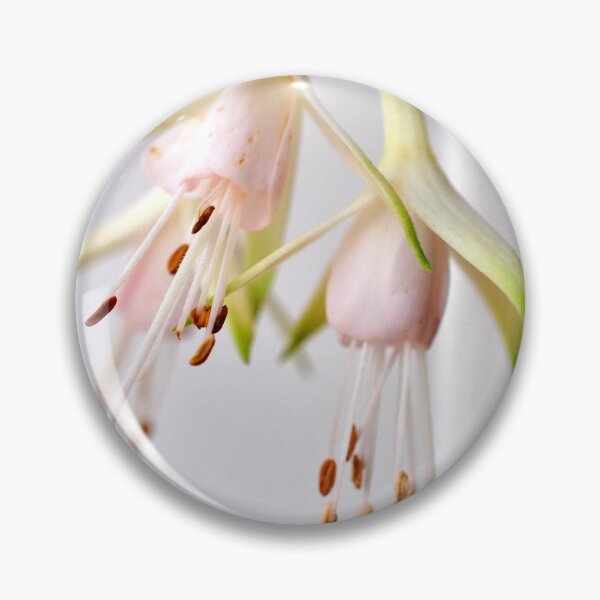 Item preview, White Fuchsia Hawkshead Summer Flower designed and sold by AndyEvansPhotos.