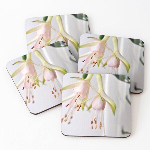 Item preview, White Fuchsia Hawkshead Summer Flower designed and sold by AndyEvansPhotos.