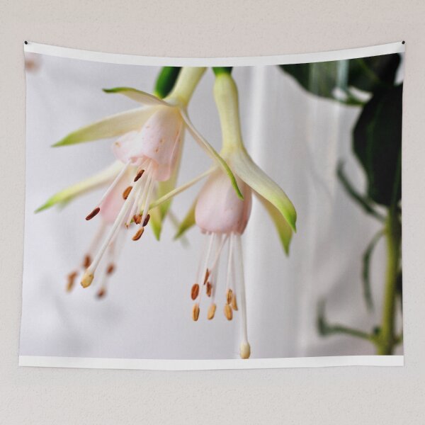 Item preview, White Fuchsia Hawkshead Summer Flower designed and sold by AndyEvansPhotos.