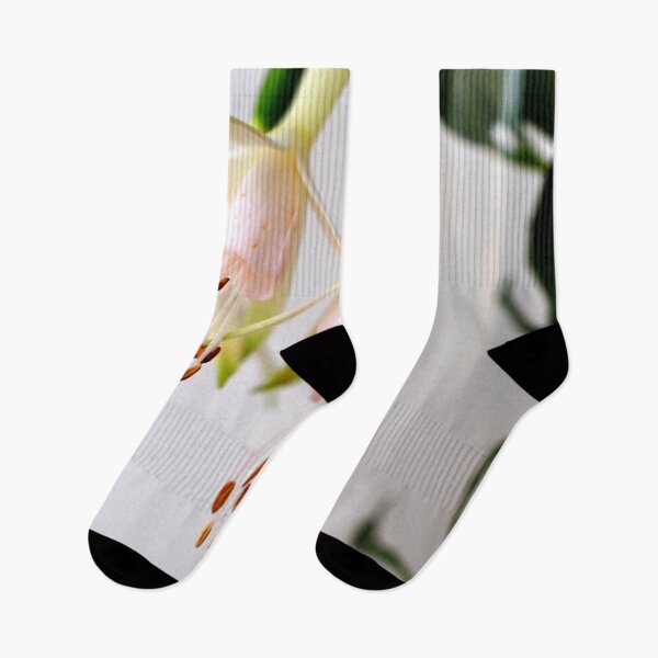 Item preview, White Fuchsia Hawkshead Summer Flower designed and sold by AndyEvansPhotos.