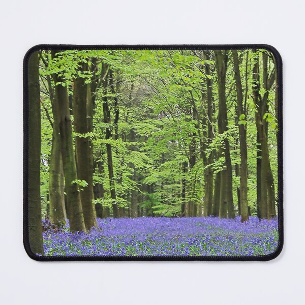Item preview, Bluebell Season designed and sold by Murph's Images.
