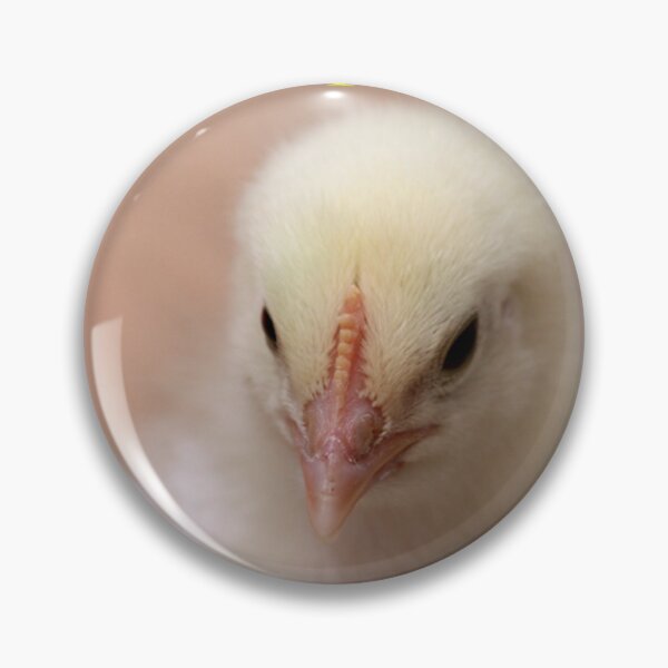 Item preview, Happy Easter Chick designed and sold by Murph's Images.
