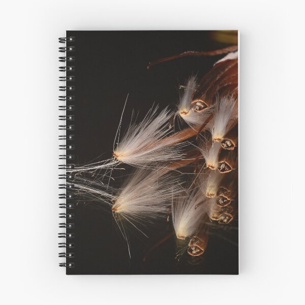 Item preview, Protea Seeds Macro on Black designed and sold by Goiko7Margarita.