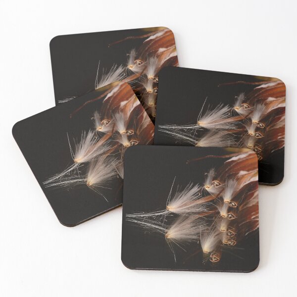 Item preview, Protea Seeds Macro on Black designed and sold by Goiko7Margarita.