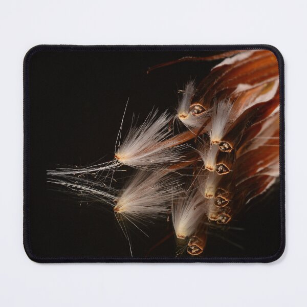Item preview, Protea Seeds Macro on Black designed and sold by Goiko7Margarita.