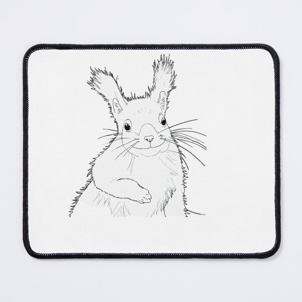 Item preview, squirrel designed and sold by CJStylesss.