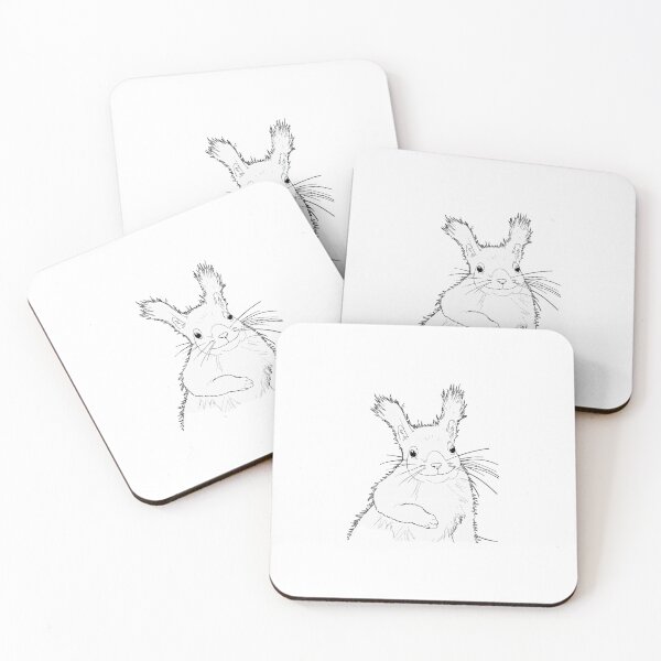 Item preview, squirrel designed and sold by CJStylesss.