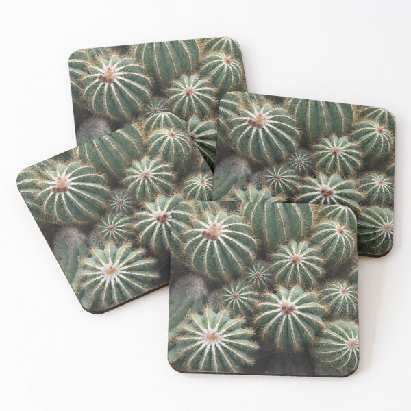 Item preview, Cactus from the Jardin des Serres d'Auteuil designed and sold by CadresSauvages.