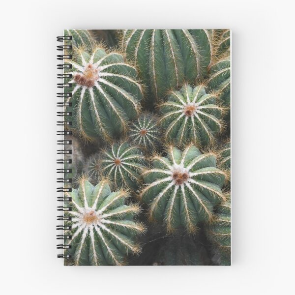 Item preview, Cactus from the Jardin des Serres d'Auteuil designed and sold by CadresSauvages.