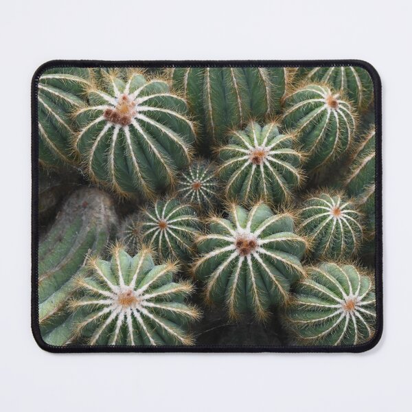Item preview, Cactus from the Jardin des Serres d'Auteuil designed and sold by CadresSauvages.
