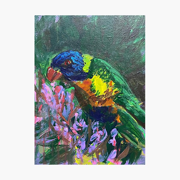 Item preview, art print painting of a rainbow lorikeet eating pink gum blossom australian fauna  and flora  designed and sold by empressbat merch.