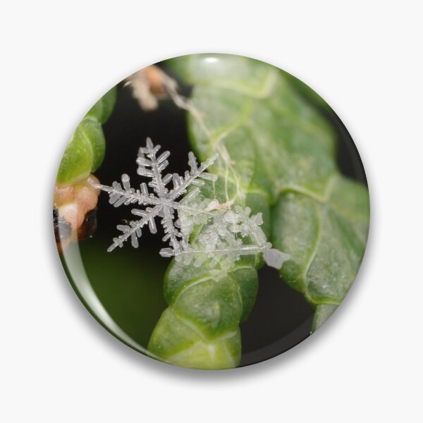 Item preview, Real Snowflake on Thuja Branch designed and sold by Goiko7Margarita.