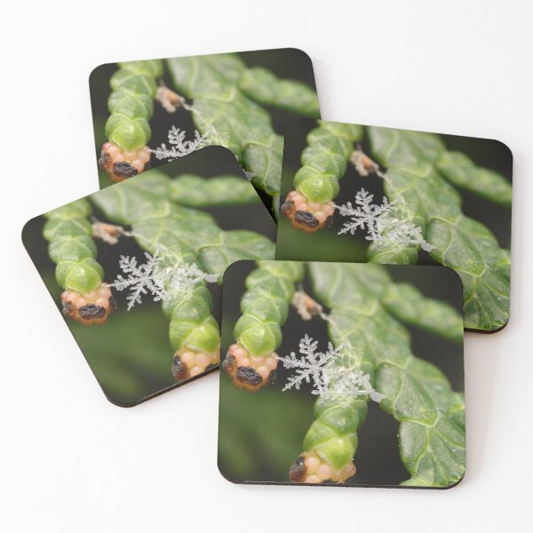 Item preview, Real Snowflake on Thuja Branch designed and sold by Goiko7Margarita.